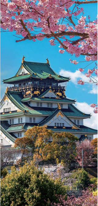 研學(xué)項(xiàng)目|日本東京研學(xué)營(yíng)：7天遇見(jiàn)未來(lái)，在櫻花與動(dòng)漫之國(guó)收獲成長(zhǎng)